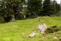 2015-06-25_05Drijaggenalm (168)b.JPG